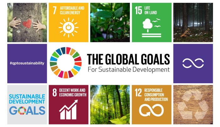 Translating Sustainable Development Goals into actions